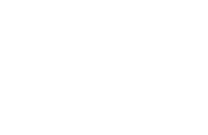 bvc logotipo
